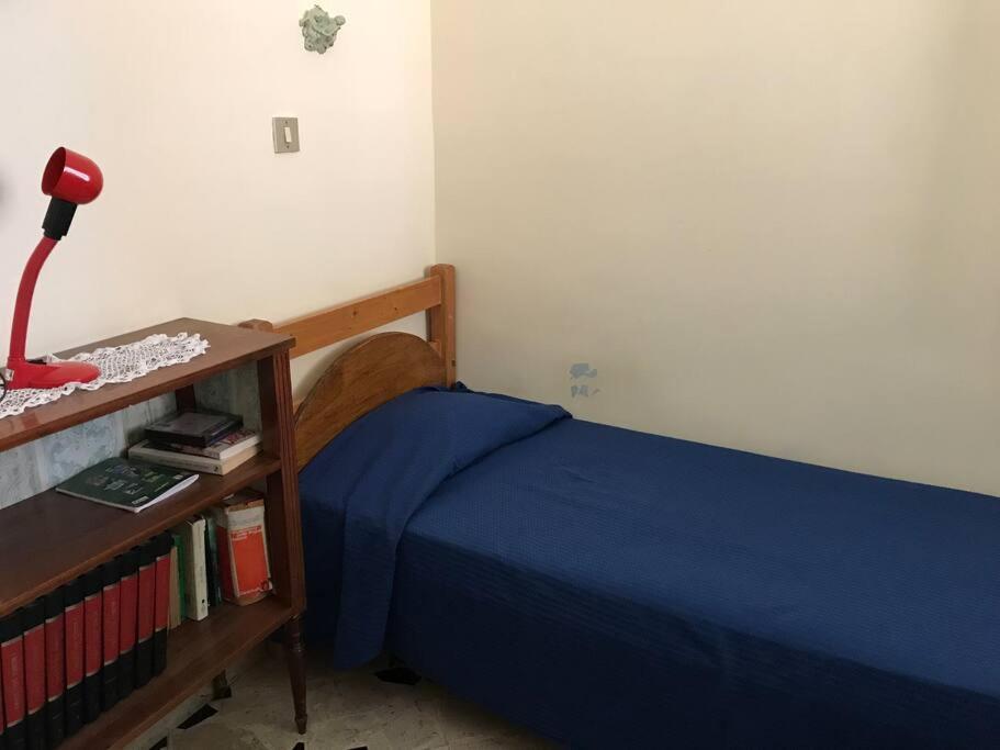 Large Flat Near Botanical Garden & Station *